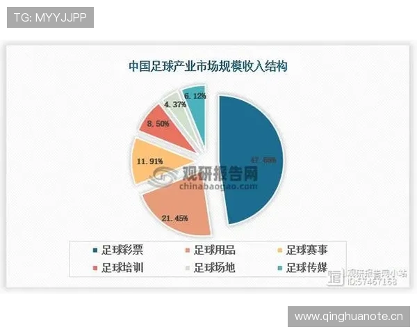 体育赛事门户发展趋势与市场潜力分析及未来竞争格局探讨 - 副本 - 副本 - 副本